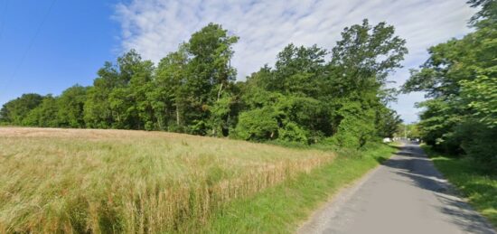 Terrain à bâtir à Vulaines-sur-Seine, Île-de-France