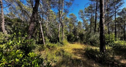 Bagnols-en-Forêt Terrain à bâtir - 2286195-3701annonce120250927zxTWQ.jpeg Maisons Open