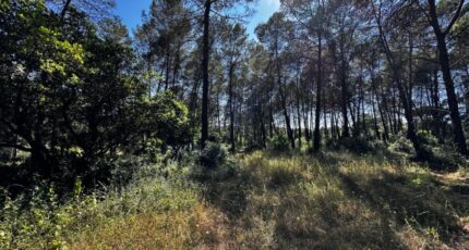 Bagnols-en-Forêt Terrain à bâtir - 2286195-3701annonce220250927v77VP.jpeg Maisons Open