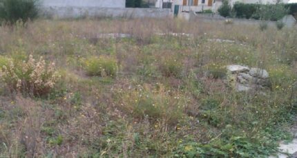 Aigues-Vives Terrain à bâtir - 2286728-10986annonce120250929m9wBX.jpeg Maisons Open