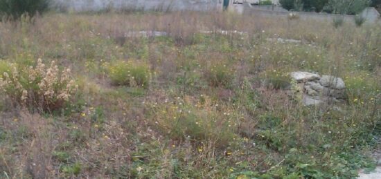 Terrain à bâtir à Aigues-Vives, Occitanie