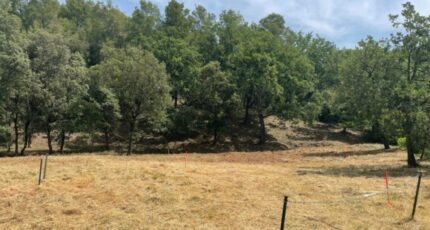 Taradeau Terrain à bâtir - 2287258-5826annonce220250929Ltgu7.jpeg Maisons Open