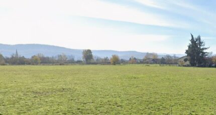 Martres-Tolosane Terrain à bâtir - 2285424-6043annonce220250926vR68E.jpeg Maisons Open