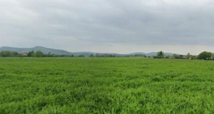 Mazères-sur-Salat Terrain à bâtir - 2285518-6043annonce5202509267FVMK.jpeg Maisons Open