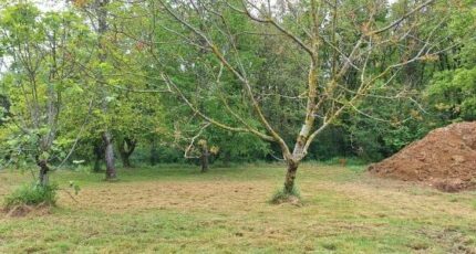 Pibrac Terrain à bâtir - 2285605-9555annonce120250926Nqobm.jpeg Maisons Open