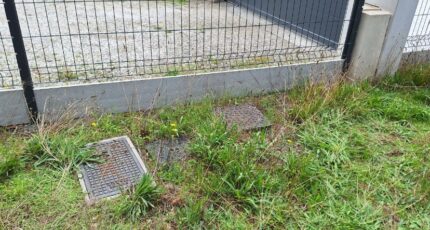 La Salvetat-Saint-Gilles Terrain à bâtir - 2285536-9555annonce120250926bPnux.jpeg Maisons Open