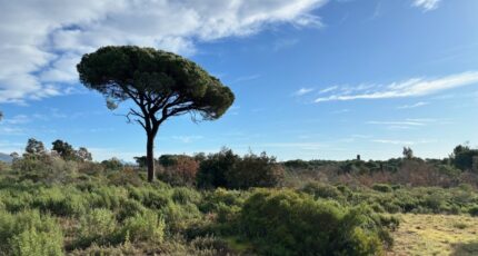 Puget-sur-Argens Terrain à bâtir - 2288024-5826annonce120250930kbi7f.jpeg Maisons Open