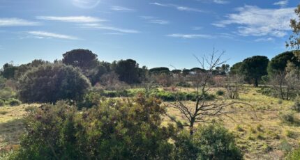 Puget-sur-Argens Terrain à bâtir - 2288024-5826annonce220250930TL6Zy.jpeg Maisons Open