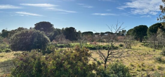 Terrain à bâtir à , Var