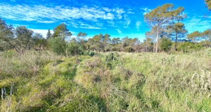 Bagnols-en-Forêt Terrain à bâtir - 2288606-3701annonce220250930n8Ct5.jpeg Maisons Open