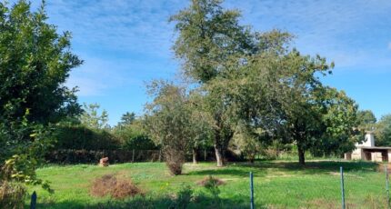 Mirepoix-sur-Tarn Terrain à bâtir - 2288434-5604annonce220250930h5qDF.jpeg Maisons Open