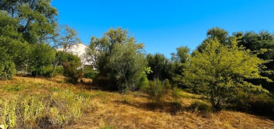 Terrain à bâtir à Lorgues, Provence-Alpes-Côte d'Azur
