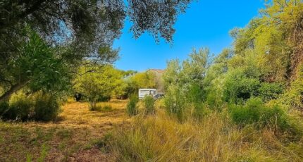 Lorgues Terrain à bâtir - 2290127-4529annonce220251001x8ZGo.jpeg Maisons Open