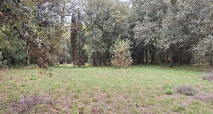 Raissac-sur-Lampy Terrain à bâtir - 2288915-10986annonce120250930vWwzf.jpeg Maisons Open