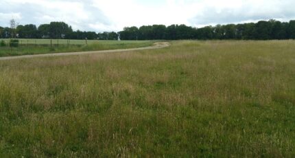 Époye Terrain à bâtir - 2293919-10076annonce120251003DhZf3.jpeg Maisons Open