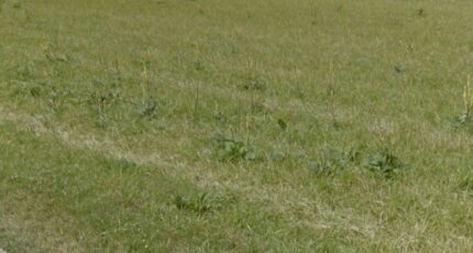 Mourmelon-le-Grand Terrain à bâtir - 2297290-10076annonce120251007Z04BC.jpeg Maisons Open