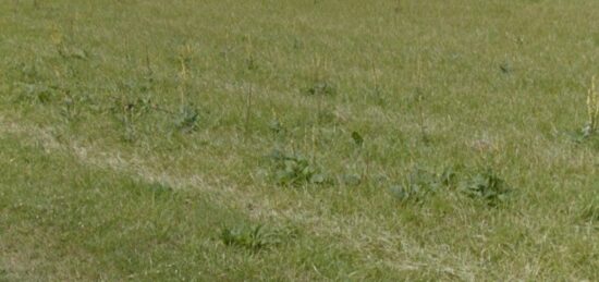 Terrain à bâtir à Mourmelon-le-Grand, Grand Est