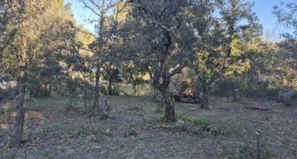 Saint-Maximin-la-Sainte-Baume Terrain à bâtir - 2299394-10152annonce120250529R31ah.jpeg Maisons Open