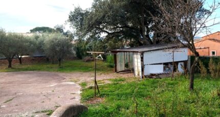 Puget-sur-Argens Terrain à bâtir - 2299490-11157annonce120251009ZXSJv.jpeg Maisons Open