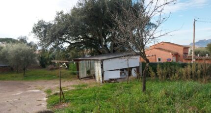 Puget-sur-Argens Terrain à bâtir - 2299490-11157annonce220251009fI0JE.jpeg Maisons Open