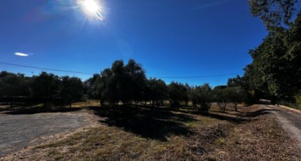 Puget-sur-Argens Terrain à bâtir - 2299529-11157annonce420251009ibfSH.jpeg Maisons Open