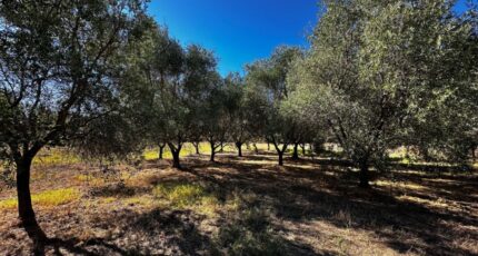 Puget-sur-Argens Terrain à bâtir - 2299529-11157annonce320251009HJffB.jpeg Maisons Open