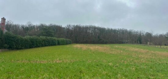 Terrain à bâtir à Boissy-sous-Saint-Yon, Île-de-France