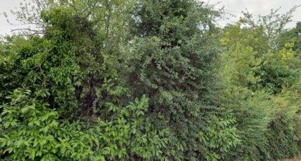 Boissy-sous-Saint-Yon Terrain à bâtir - 2300110-10545annonce320251009s12Vc.jpeg Maisons Open