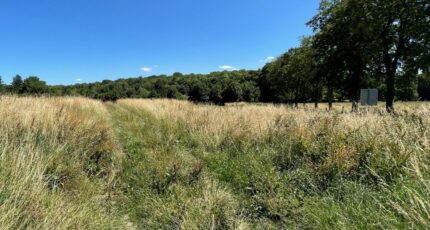 Crépy-en-Valois Terrain à bâtir - 2299455-1691annonce120250215R0OJc.jpeg Maisons Open