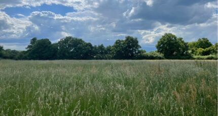 Sablé-sur-Sarthe Terrain à bâtir - 2261861-1263annonce120250516Txw83.jpeg Maisons Open