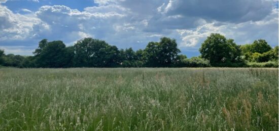 Terrain à bâtir à Sablé-sur-Sarthe, Pays de la Loire
