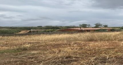 Brugairolles Terrain à bâtir - 2300393-10986annonce120251009suiLw.jpeg Maisons Open