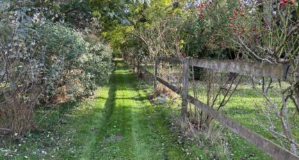 Thoiry Terrain à bâtir - 2299577-11643annonce120251009lGdBW.jpeg Maisons Open