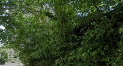 Breuillet Terrain à bâtir - 2301931-10545annonce1202510100TxAG.jpeg Maisons Open