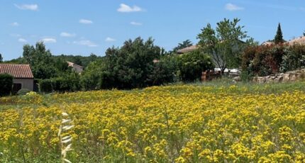 Arthès Terrain à bâtir - 2301698-2684annonce220251010dLqOa.jpeg Maisons Open