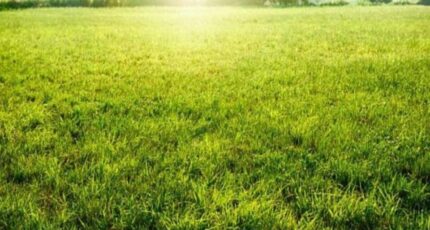 Luynes Terrain à bâtir - 2303750-3427annonce120251013BctmX.jpeg Maisons Open