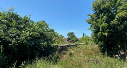 La Crau Terrain à bâtir - 2264129-11136annonce120250908Hfa8N.jpeg Maisons Open