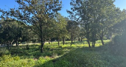 Le Plan-de-la-Tour Terrain à bâtir - 2304632-11102annonce120251014qFf2I.jpeg Maisons Open