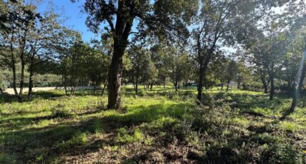 Le Plan-de-la-Tour Terrain à bâtir - 2304632-11102annonce220251014sLfKs.jpeg Maisons Open