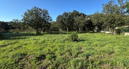 Le Plan-de-la-Tour Terrain à bâtir - 2304632-11102annonce320251014BQlEd.jpeg Maisons Open