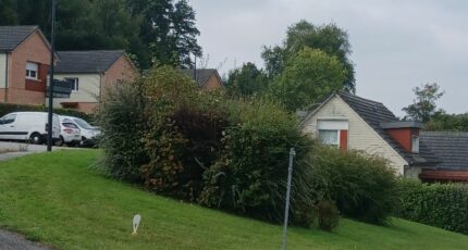 Gruchet-le-Valasse Terrain à bâtir - 2304746-1887annonce120251014qe9Br.jpeg Maisons Open