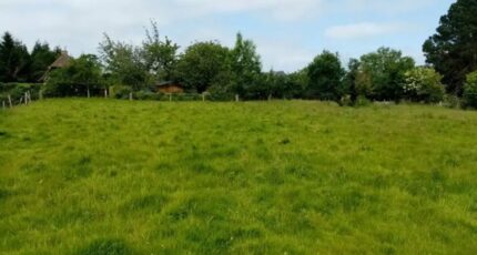 Veules-les-Roses Terrain à bâtir - 2304817-1887annonce1202510147pRG6.jpeg Maisons Open