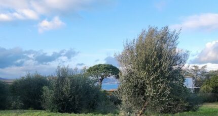 Hyères Terrain à bâtir - 2264578-11077annonce120250908yZESc.jpeg Maisons Open