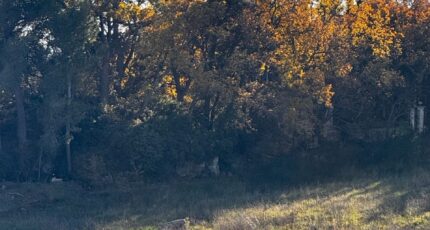 Aubagne Terrain à bâtir - 2305000-7054annonce220251014TEi72.jpeg Maisons Open