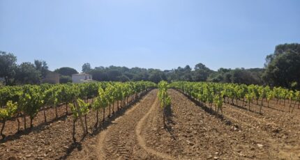 Cogolin Terrain à bâtir - 2305291-5163annonce120251014JAizx.jpeg Maisons Open