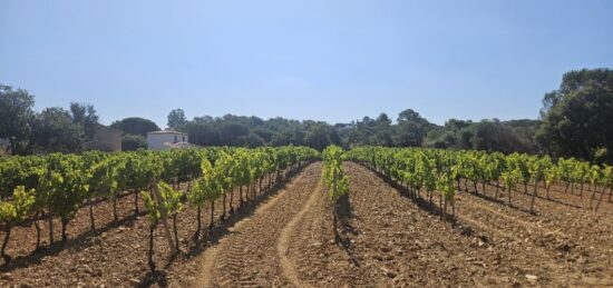 Terrain à bâtir à Cogolin, Provence-Alpes-Côte d'Azur