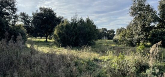 Terrain à bâtir à Saint-Siffret, Occitanie