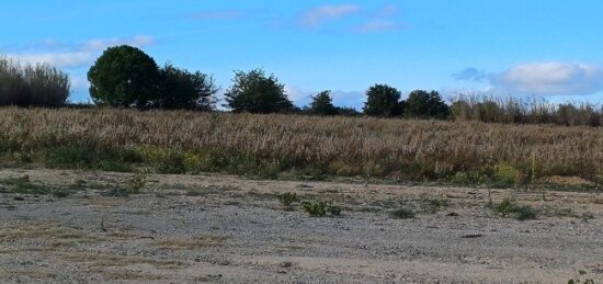 Terrain à bâtir à Saint-Jean-Lasseille, Occitanie