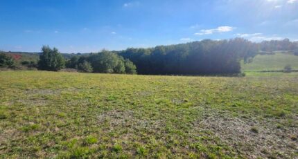 Beauvais-sur-Tescou Terrain à bâtir - 2319452-11178annonce120251028LJpK2.jpeg Maisons Open