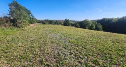 Beauvais-sur-Tescou Terrain à bâtir - 2319452-11178annonce3202510285Leaa.jpeg Maisons Open